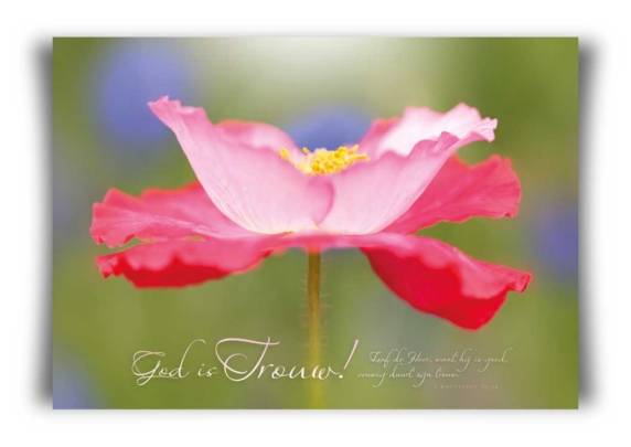 Poster 50x70 God is getrouw - MA11309 - Posters XL bij MajesticAlly
