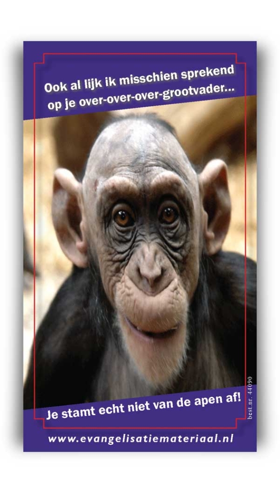 Bemoedigingskaart - 'Je stamt niet van de apen af' - 44090 -  Kaarten bij MajesticAlly