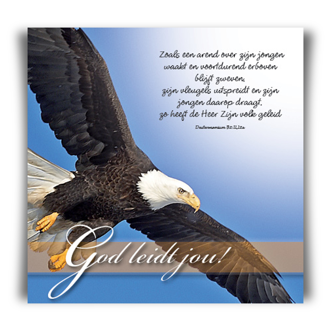 Prentbriefkaart 'God leidt jou' - 46122 -  Bemoediging bij MajesticAlly