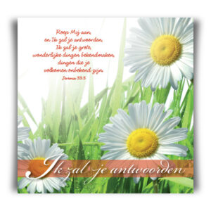 Prentbriefkaart 'Ik zal je antwoorden'