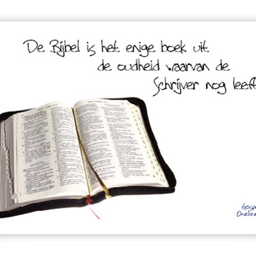 Minikaart de bijbel is het enige boek - 46404 -  Minikaartjes bij MajesticAlly