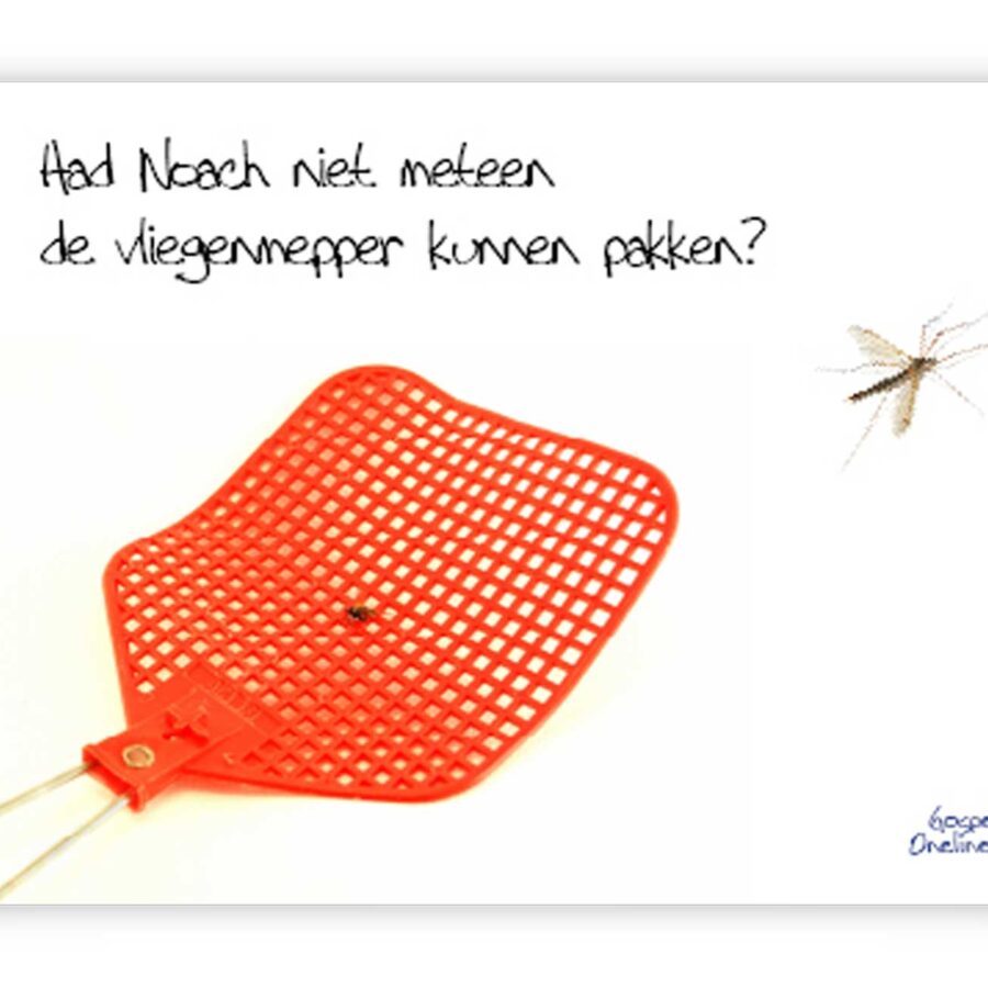 Minikaart 'Kon Noach niet meteen de vlieg'