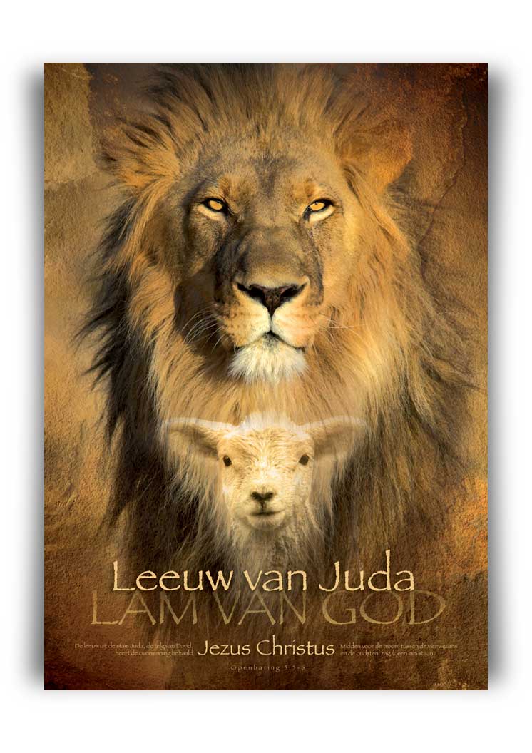 Poster 50x70 leeuw van judah - MA11302 -  Posters XL  bij MajesticAlly