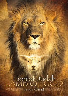 Poster 50x70  'Lion of Judah' - MA11338 -  Posters XL  bij MajesticAlly