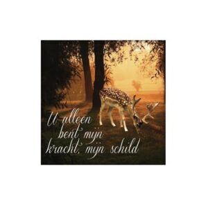 Wenskaart 'U alleen bent mijn kracht' - MA14021 -  Living Melodies bij MajesticAlly