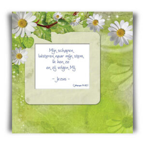 Mega Voordeelpakket 400 Bible Message kaarten - 45100M -  Bible Message bij MajesticAlly