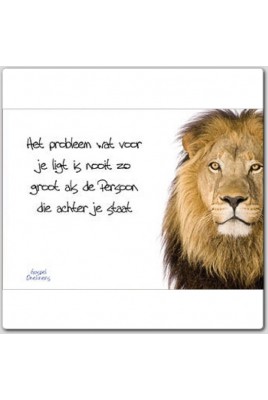 Posters oneliners complete serie 24x1 - 46700 -  Posters overig bij MajesticAlly