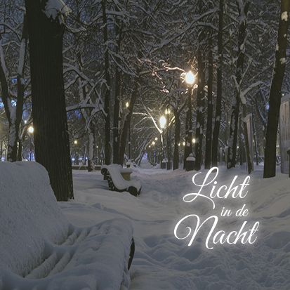 Kerstkaart 'Licht in de nacht' - MA16002 -  Christelijke kerstkaarten bij MajesticAlly