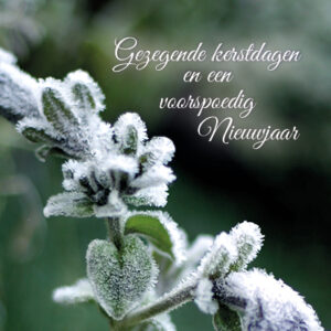 Kerstkaart 'Tak met ijs' - MA16017 -  Christelijke kerstkaarten bij MajesticAlly