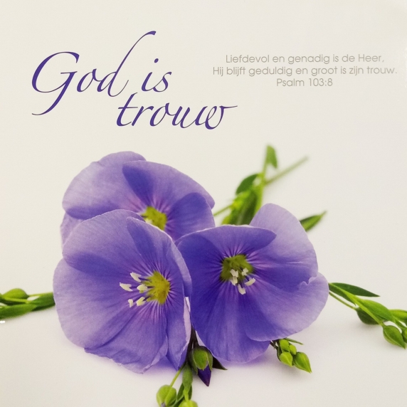 Prentbriefkaart 'God is trouw' - 46101 -  Bemoediging bij MajesticAlly