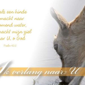 Minikaart ik verlang naar U - 46205 -  Minikaartjes bij MajesticAlly