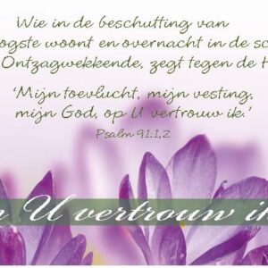 Minikaart op U vertrouw ik - 46213 -  Minikaartjes bij MajesticAlly