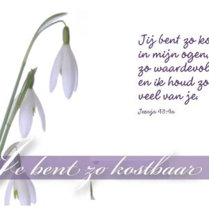 Minikaart je bent zo kostbaar - 46216 -  Minikaartjes bij MajesticAlly