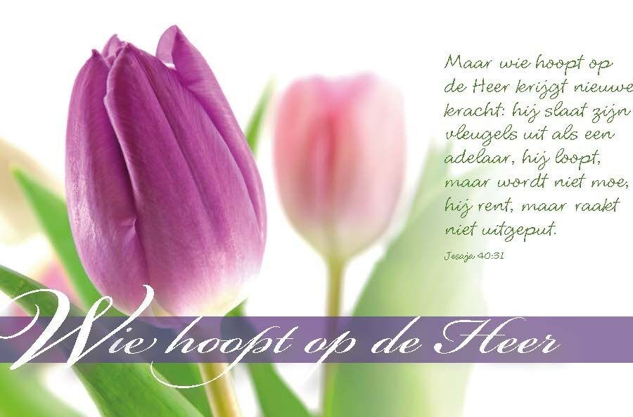 Minikaart wie hoopt op de Heer - 46219 - Minikaartjes bij MajesticAlly