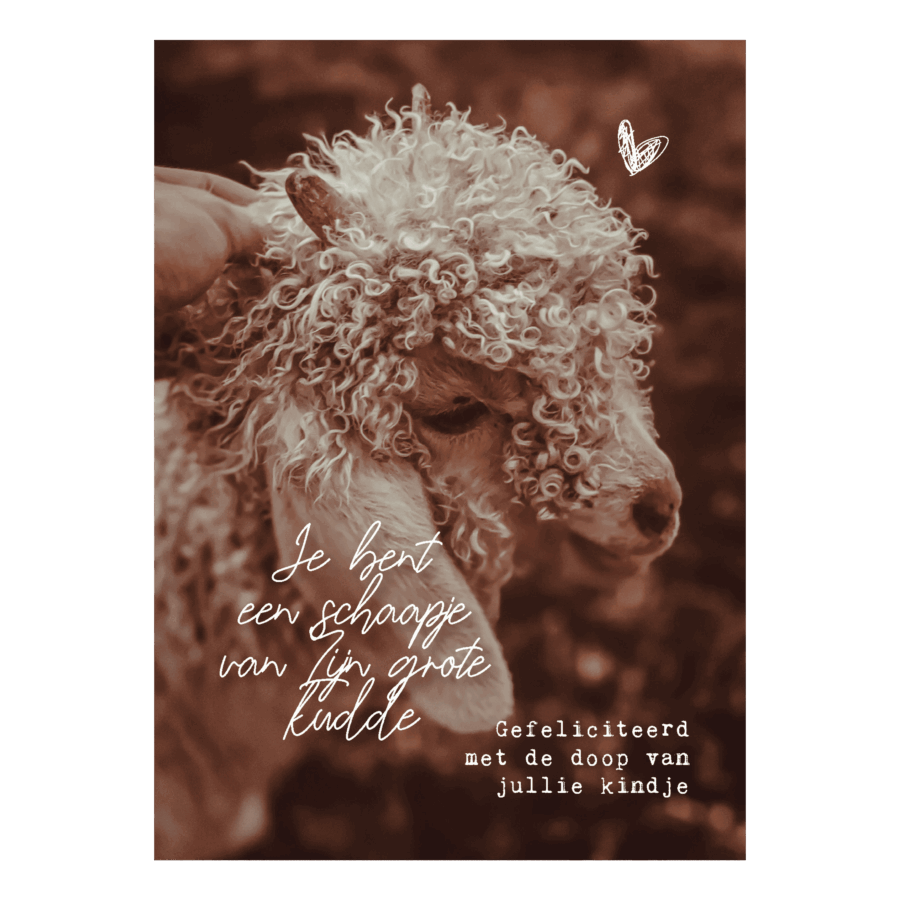 Wenskaart 'Schaapje - doop'