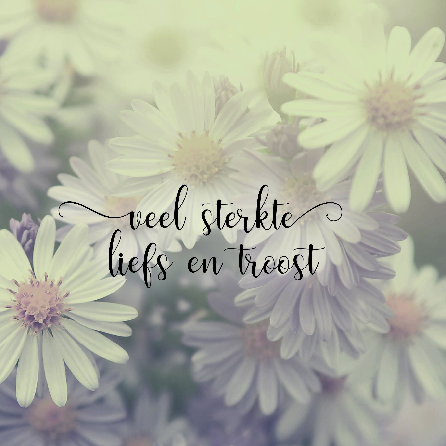 Sterkte & Deelneming