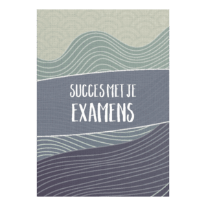 Wenskaart 'Succes met je examens'