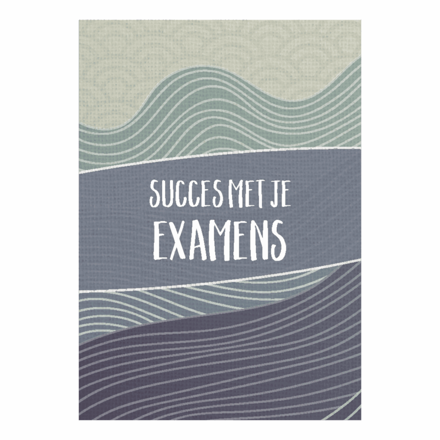 Wenskaart 'Succes met je examens'
