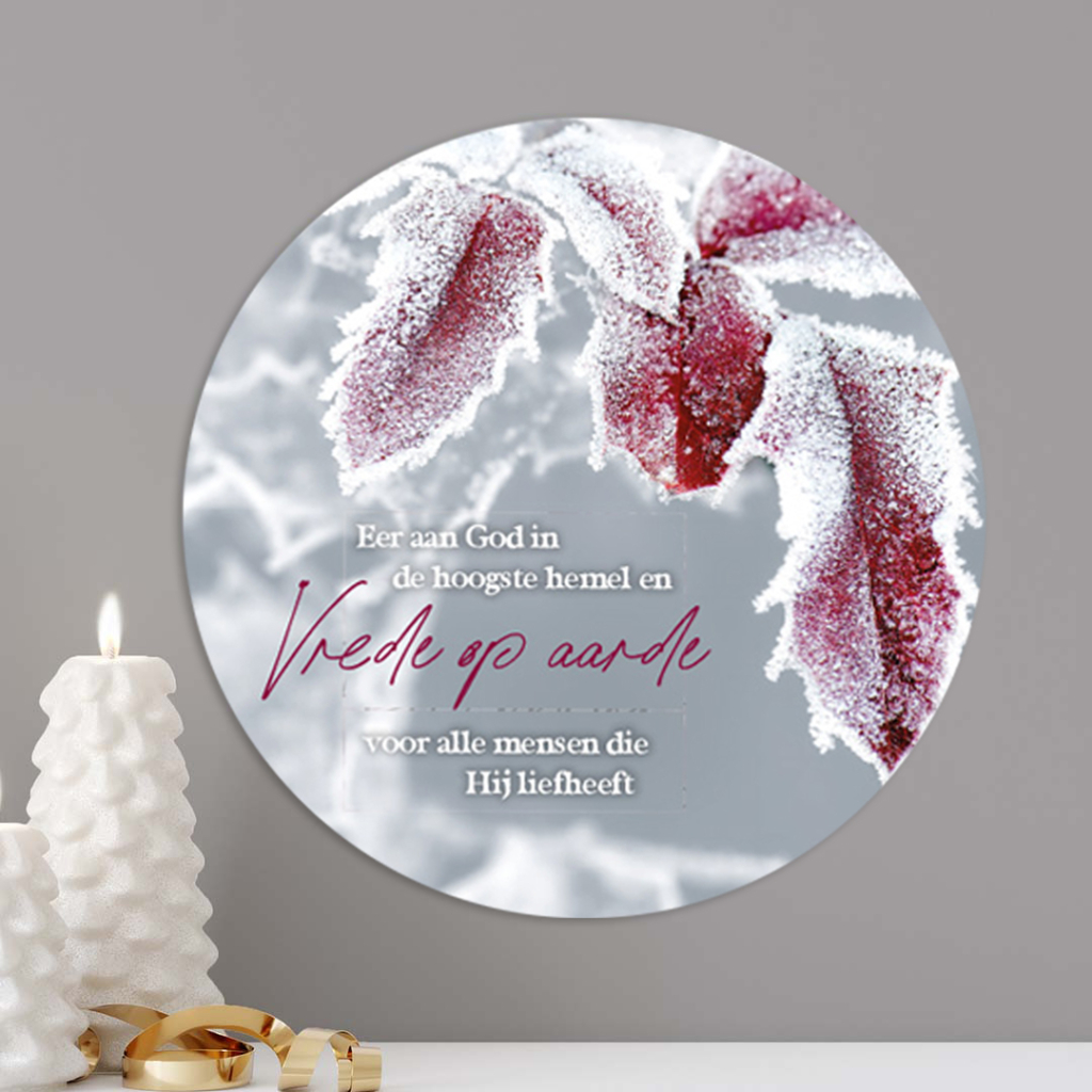 Kerstcirkel 'Vrede op aarde'