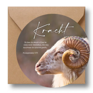 MA39622 Cirkelcadeau 'Kracht - ram'
