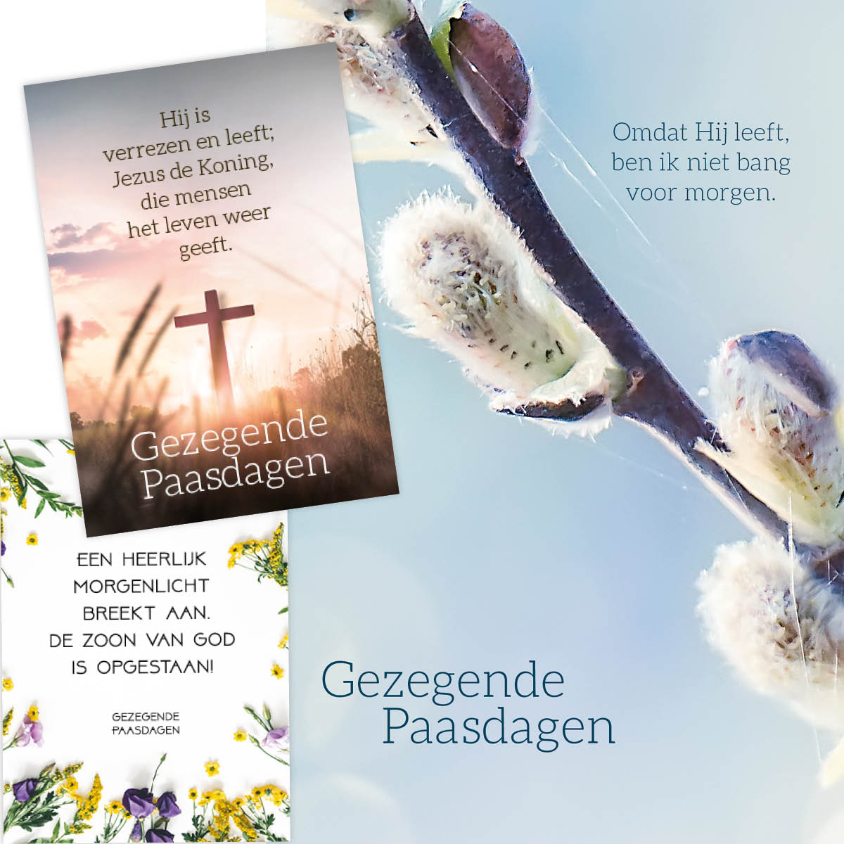 Categorie afbeelding