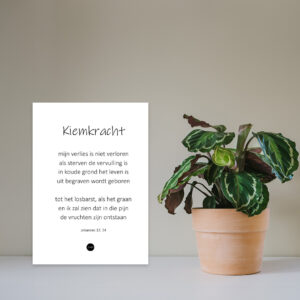 Kiemkracht
