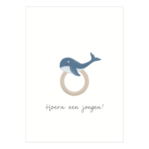 Hoera een jongen