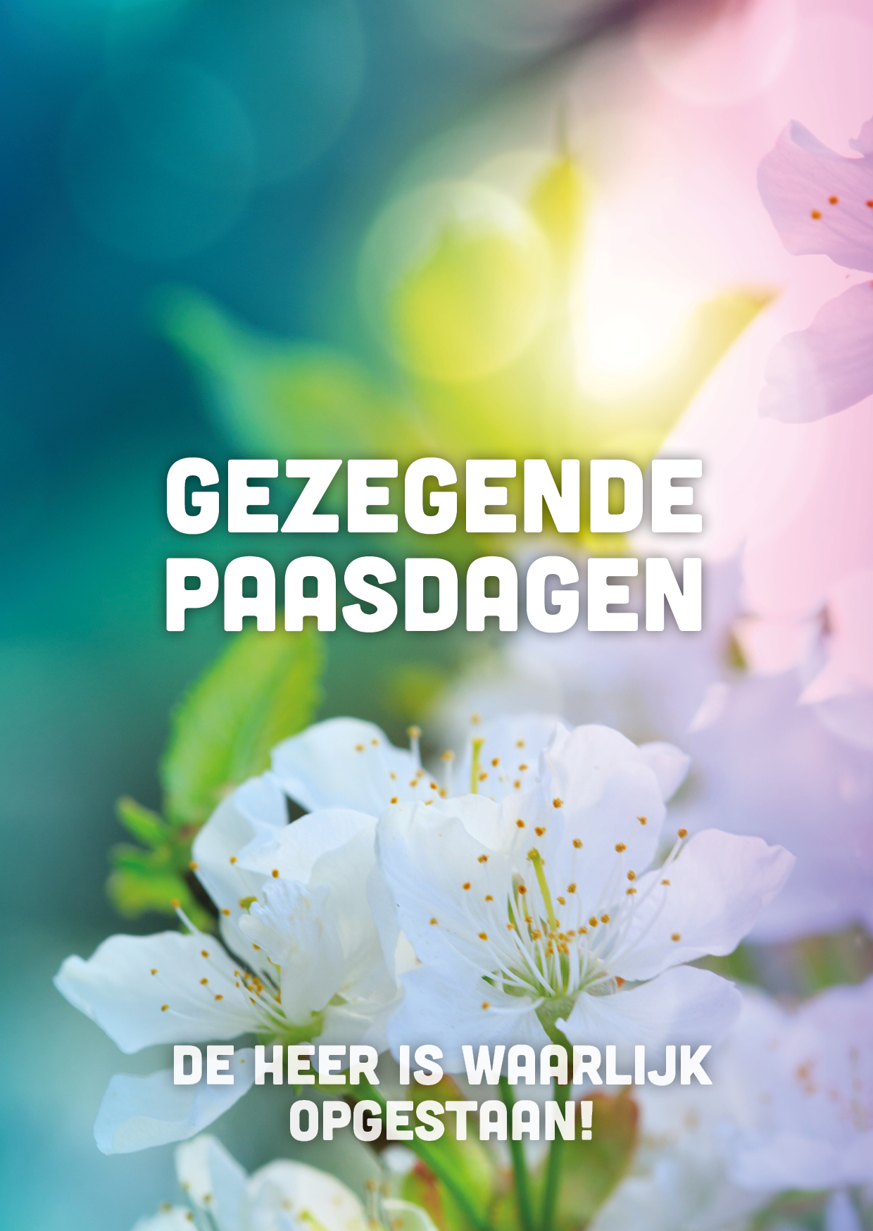 Categorie afbeelding