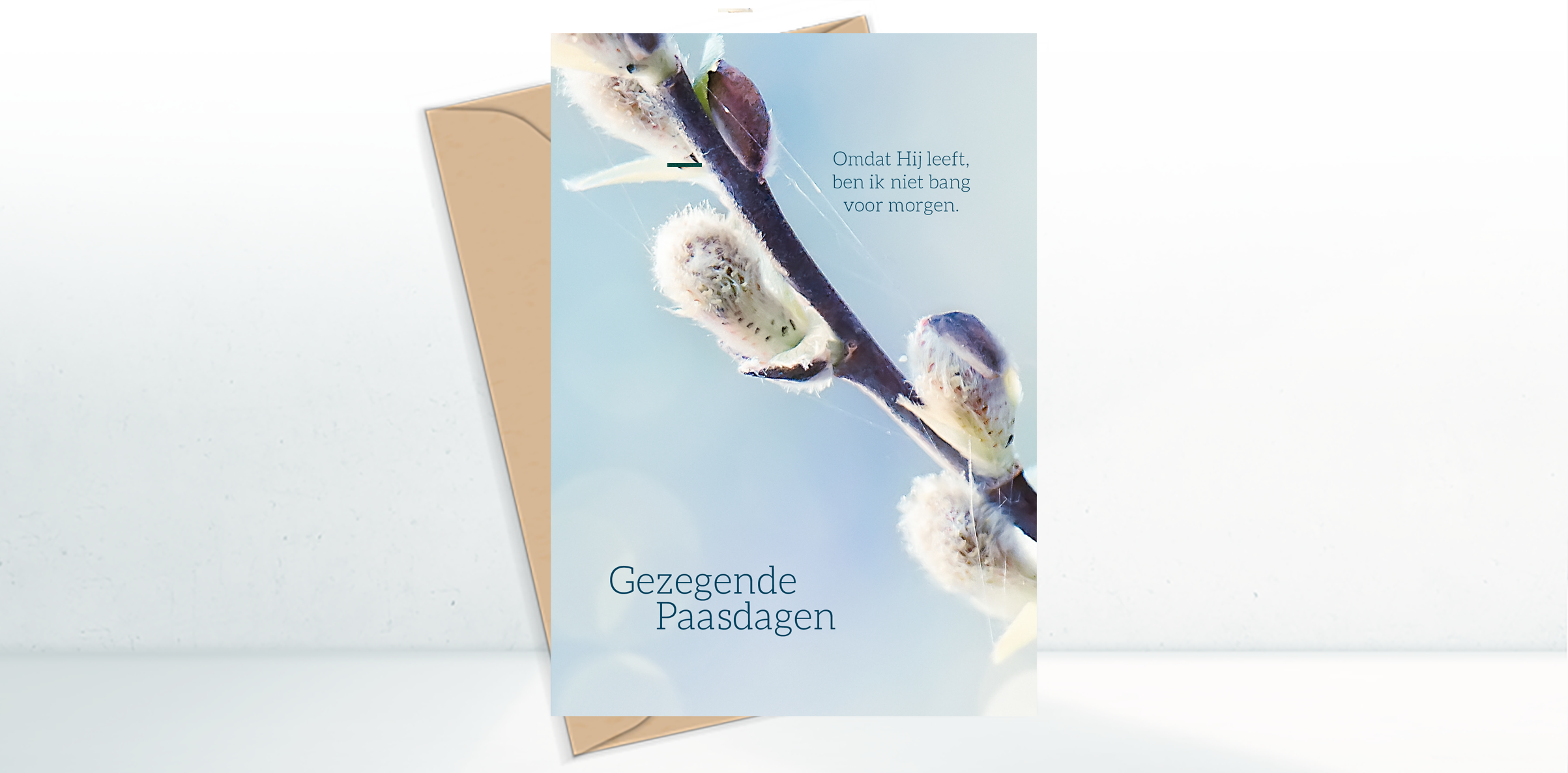 Categorie afbeelding