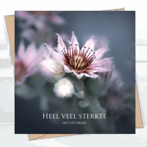 Sterkte & deelneming