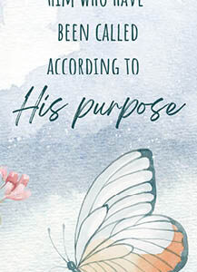Boekenlegger His purpose
