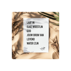 Visje bordje 'Woestijn'