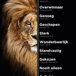 Cadeaubord 'Leeuw'