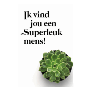 Kaart 'Super leuk mens'