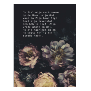 Poster A4 'Stel mijn vertrouwen'