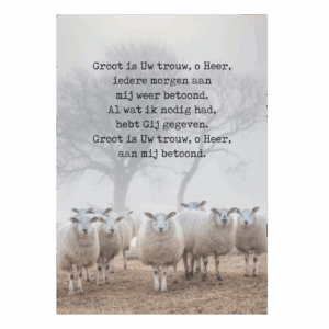 Poster A4 'Groot is uw trouw o Heer'