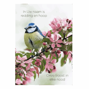 Poster A4 'In Uw naam is redding en hoop'