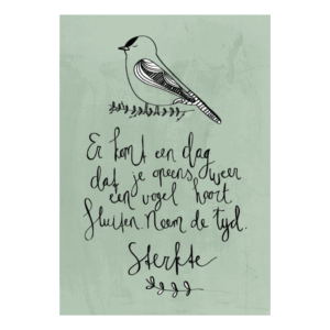 Sterkte