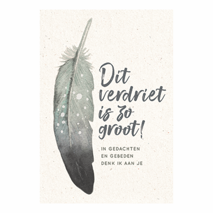 Dit verdriet is zo groot!