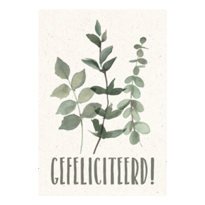 Gefeliciteerd!