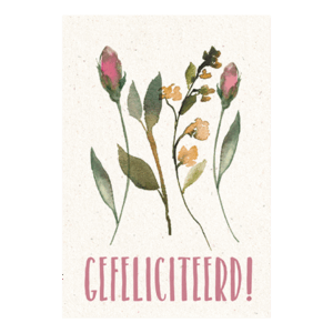 Gefeliciteerd!