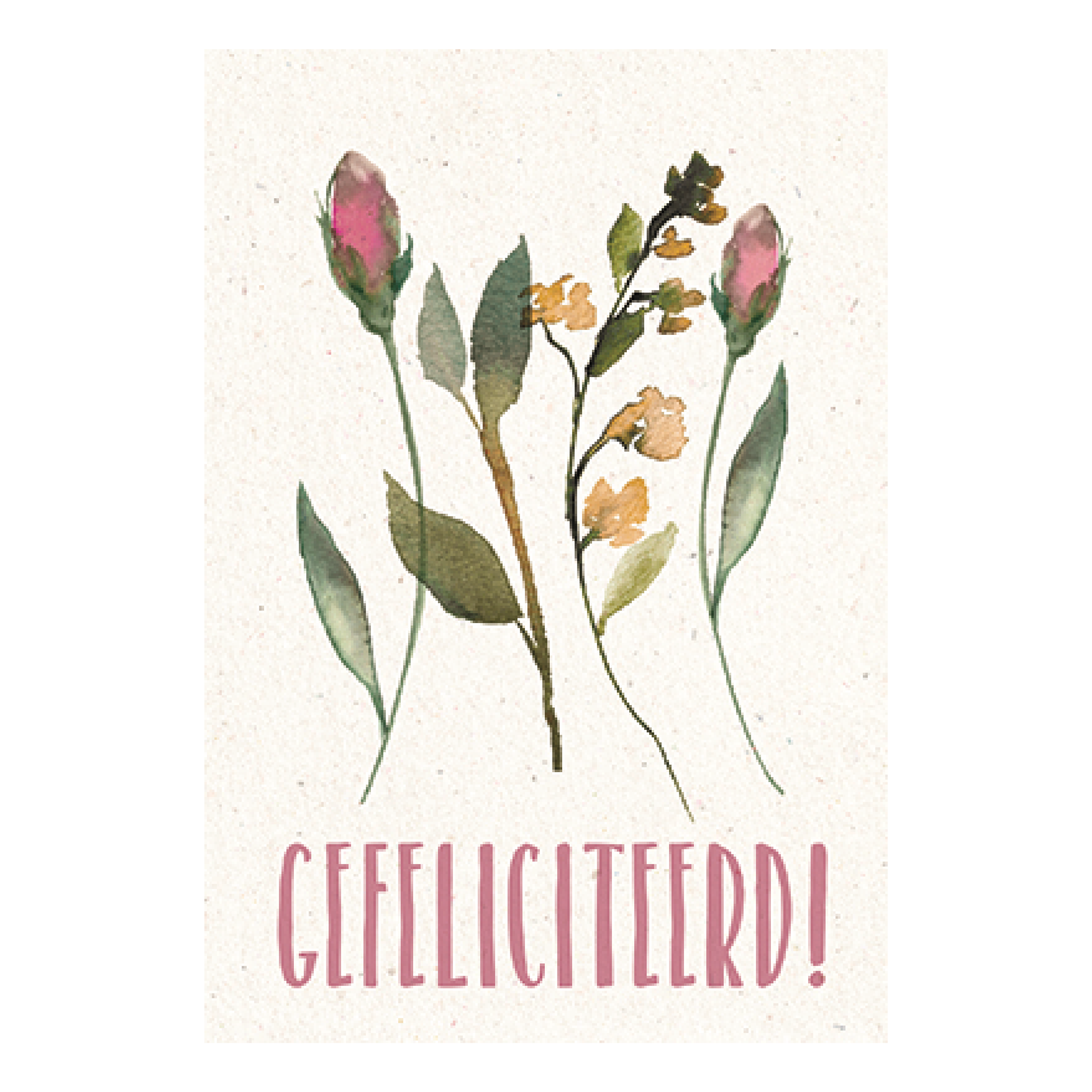 Gefeliciteerd!