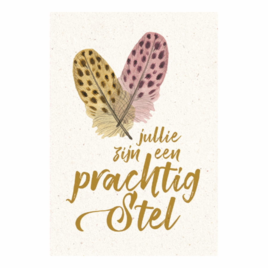 Jullie zijn een prachtig stel