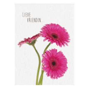 Kaart 'Lieve vriendin'