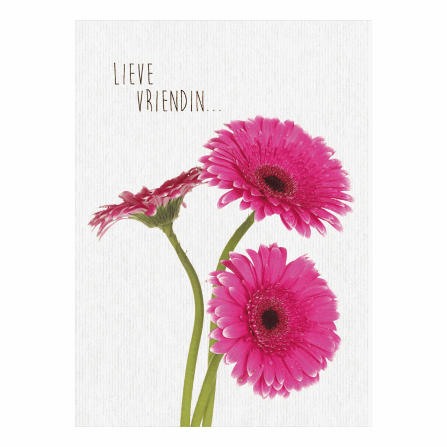 Kaart 'Lieve vriendin'