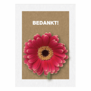 Kaart 'Bedankt'
