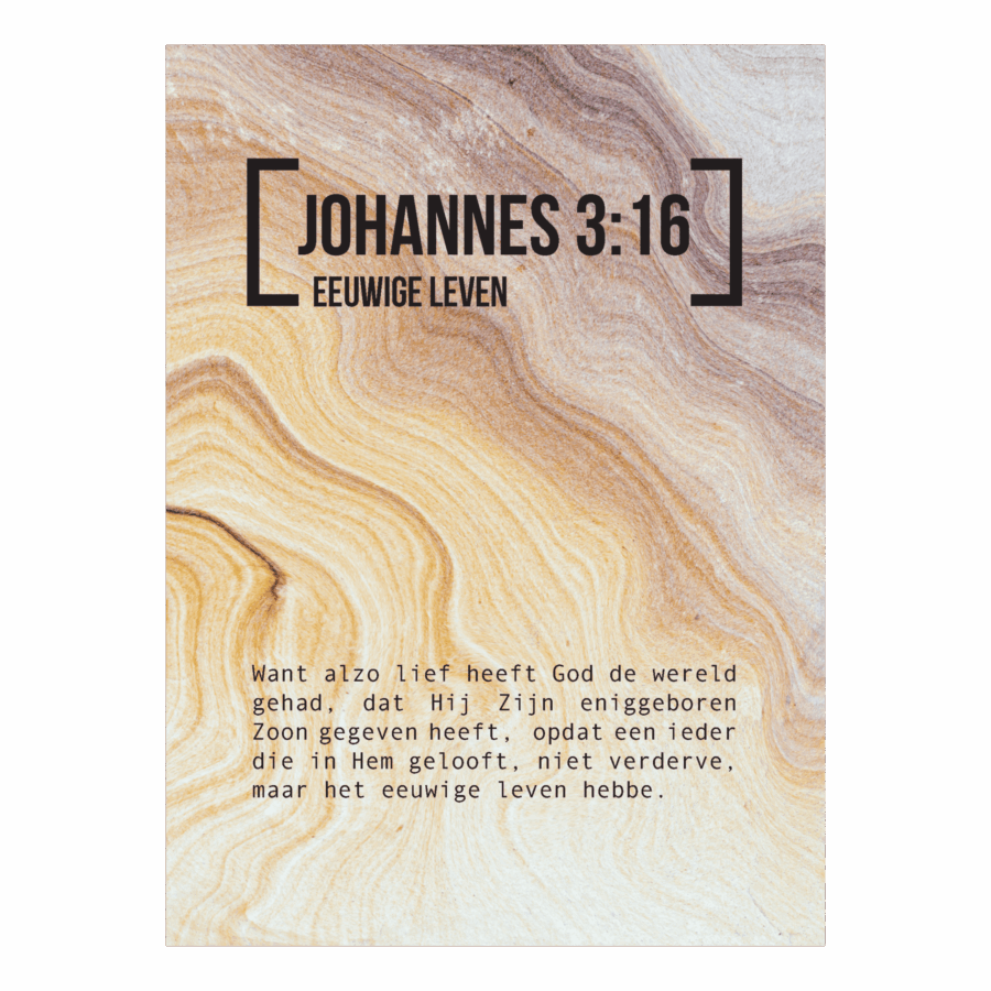 Bijbeltekstkaart 'Johannes 3:16' SV