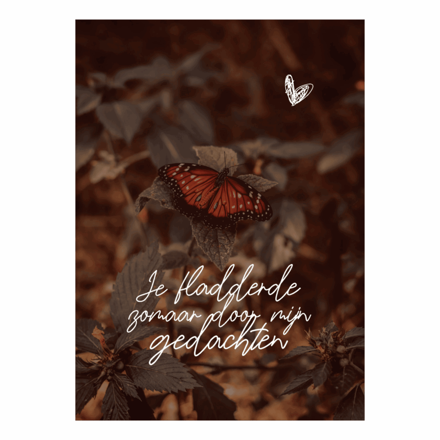 Wenskaart 'Zomaar - vlinder'