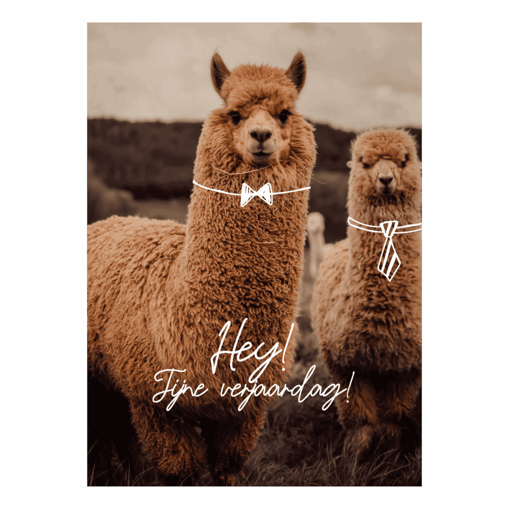 Wenskaart 'Fijne verjaardag'