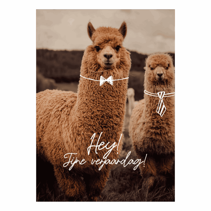 Wenskaart 'Fijne verjaardag'